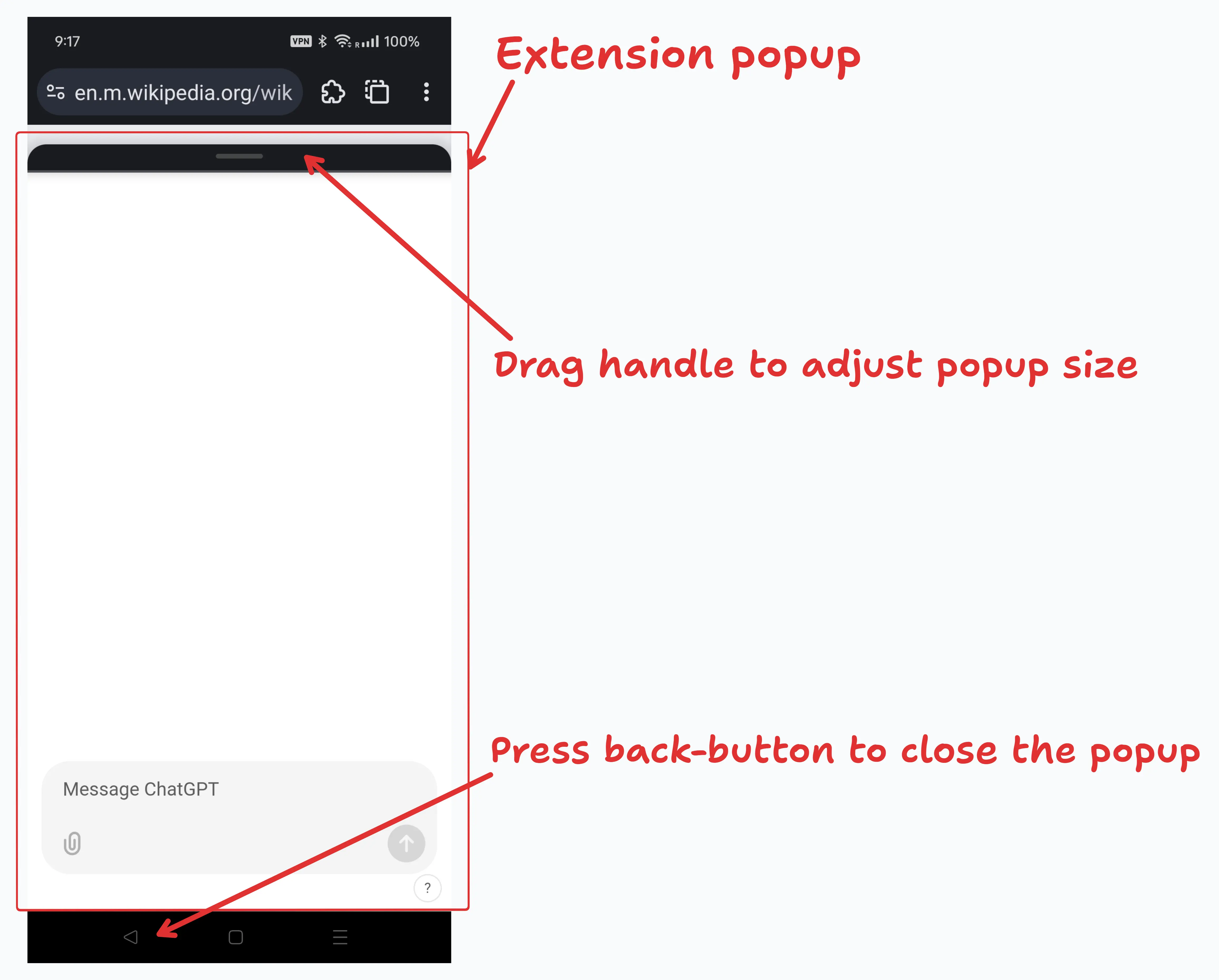 Extension popup