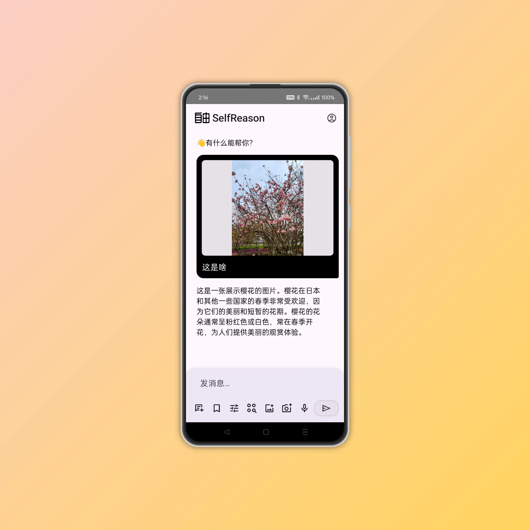 自由一号概览